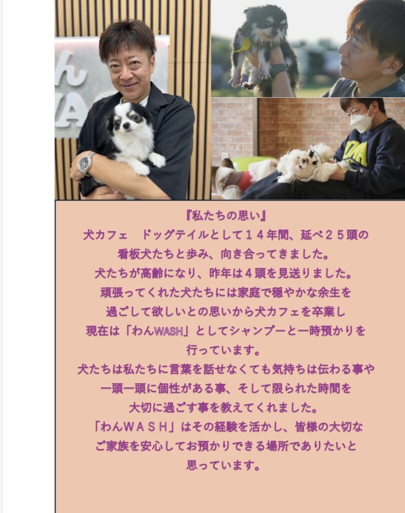 IMG 0529 809x1024