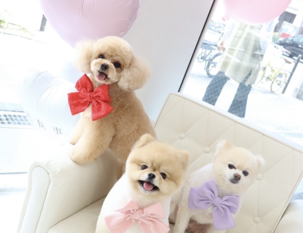 IMG 0625 1024x790