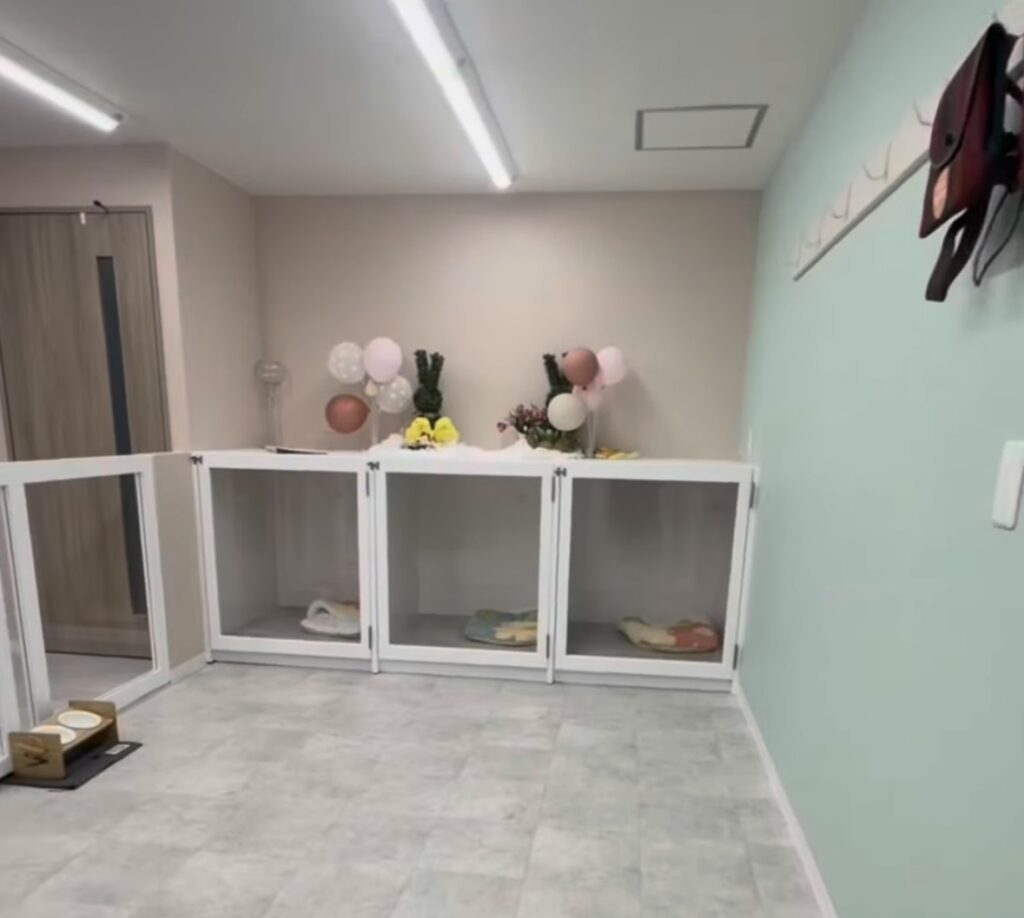 IMG 0674 1024x918