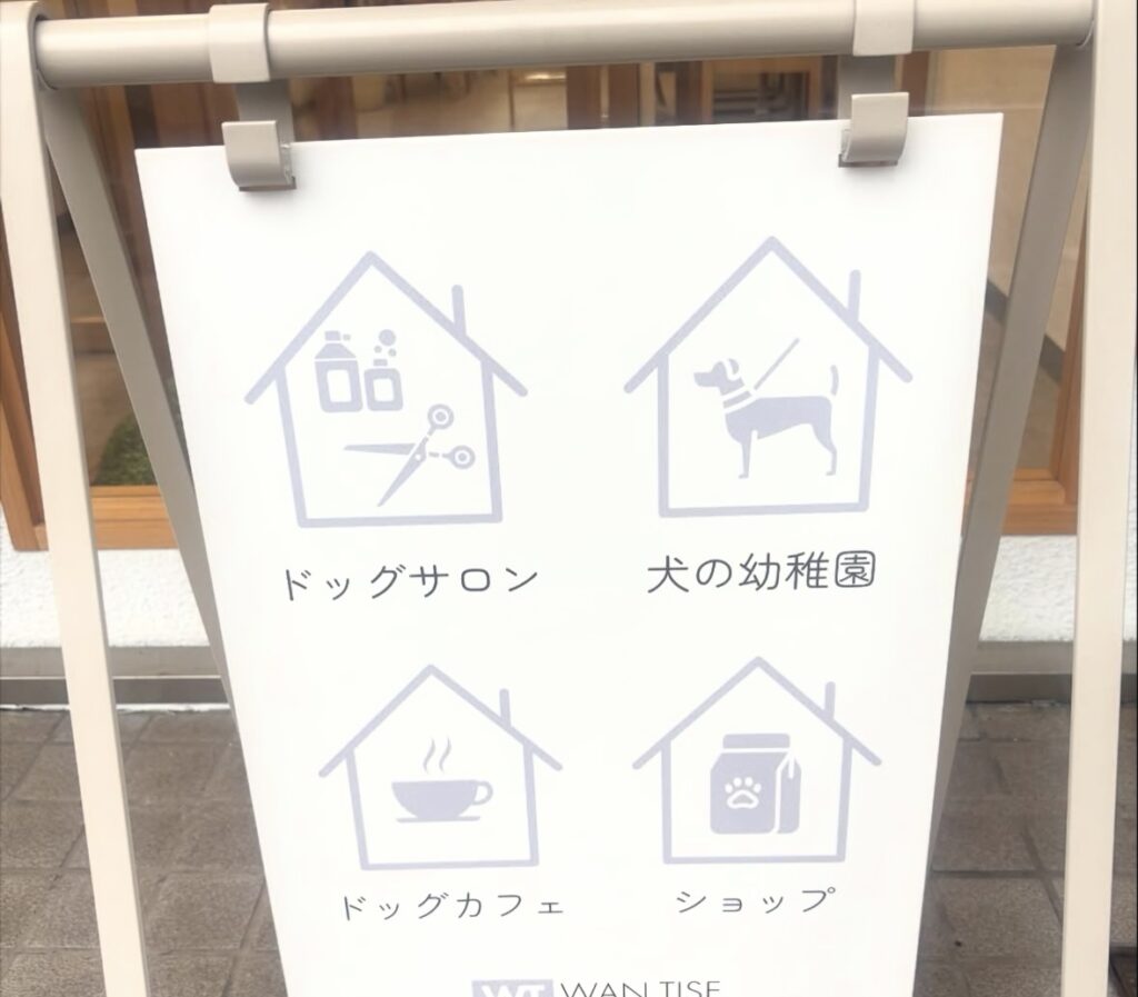 IMG 0680 1024x897