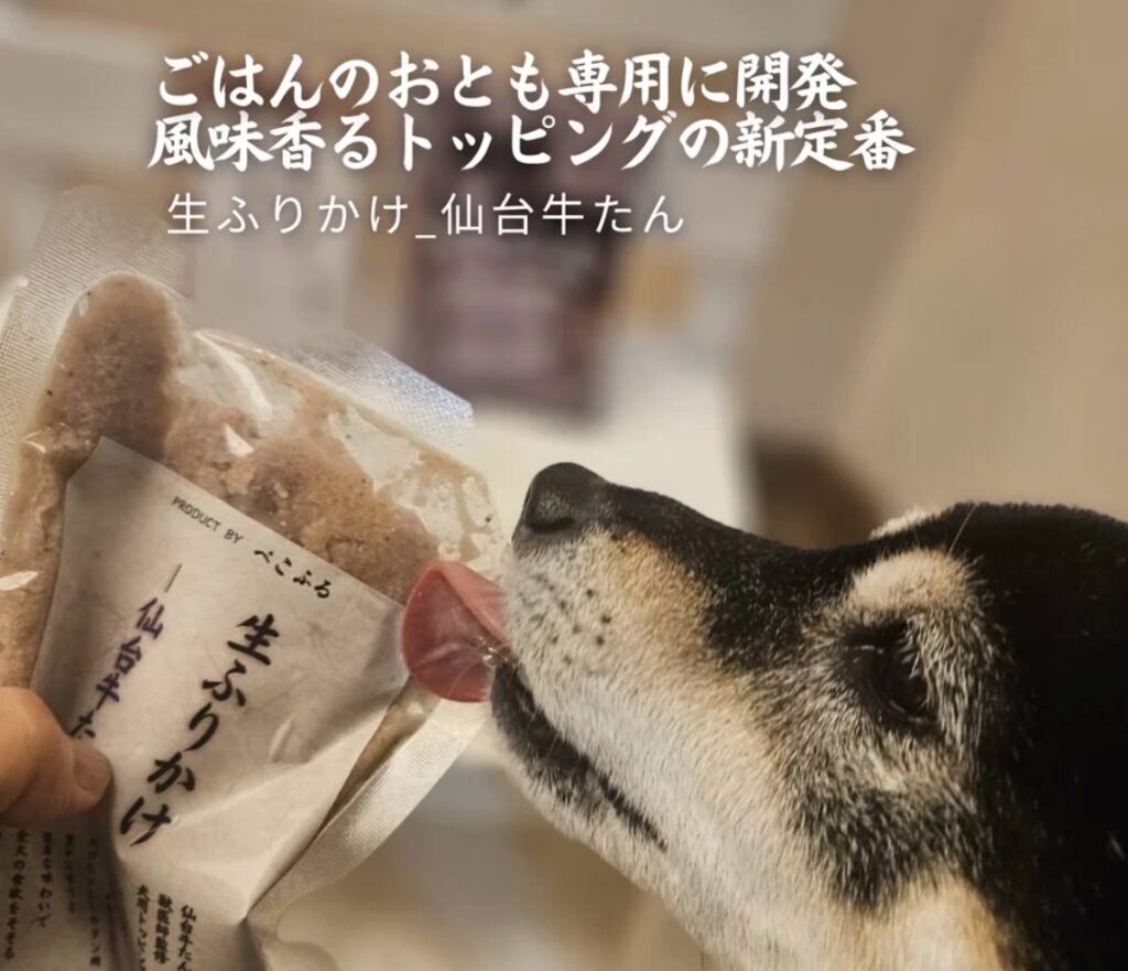 IMG 0805 1024x881