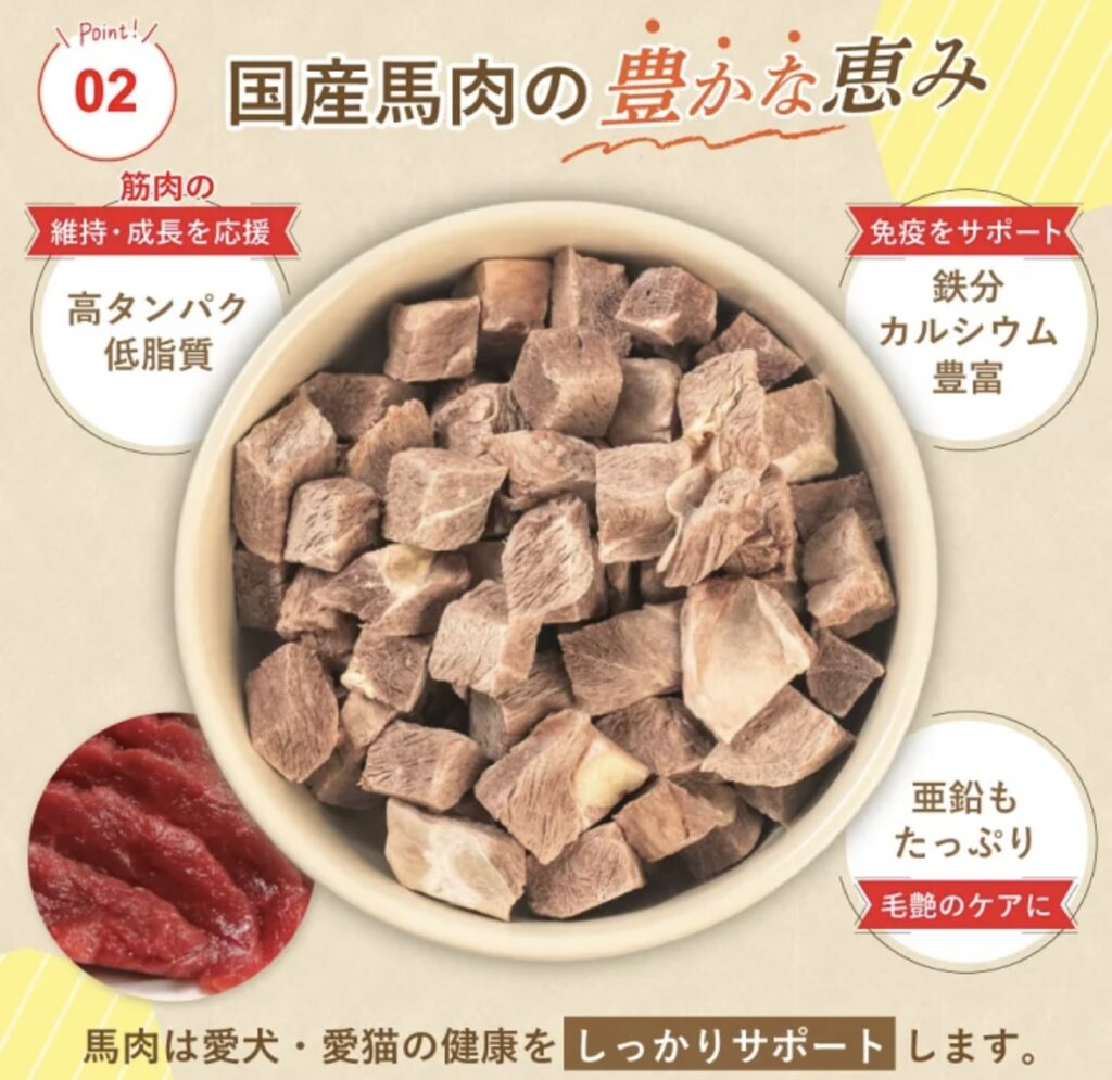 IMG 0811 1 1024x995