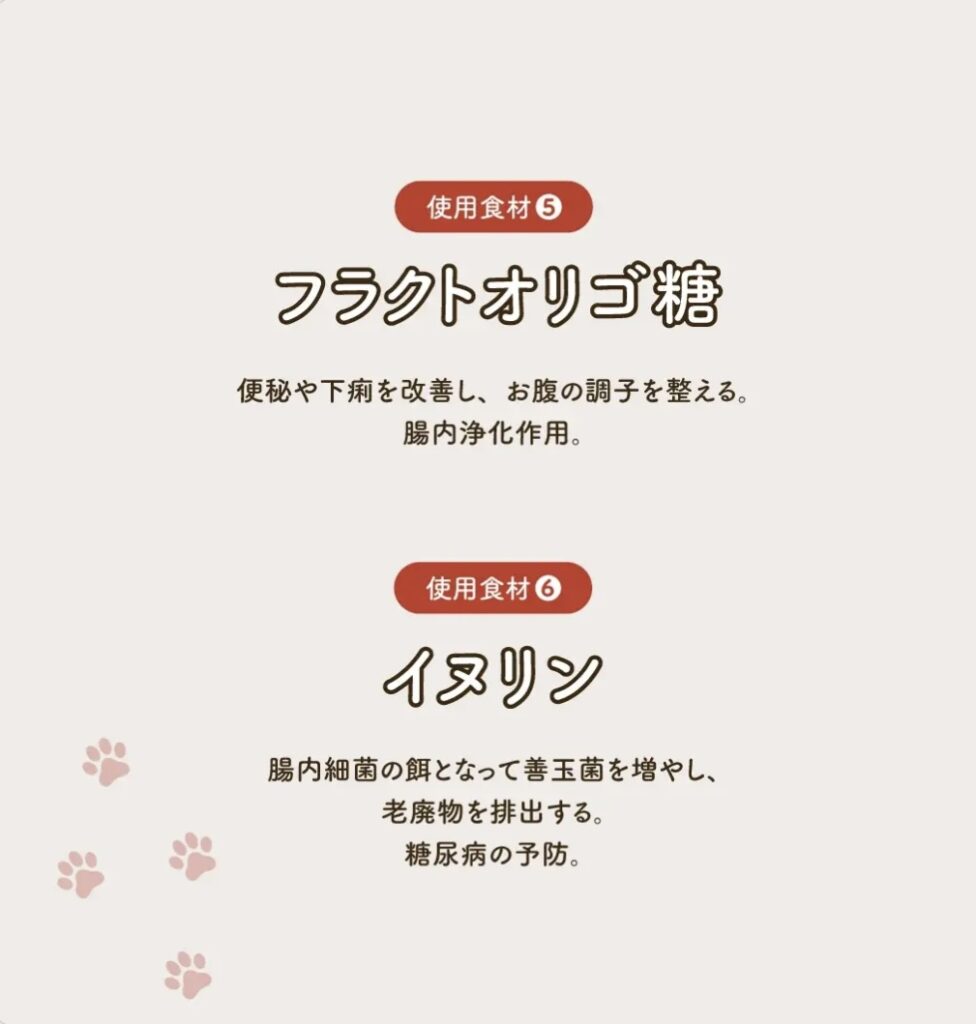 IMG 0832 976x1024