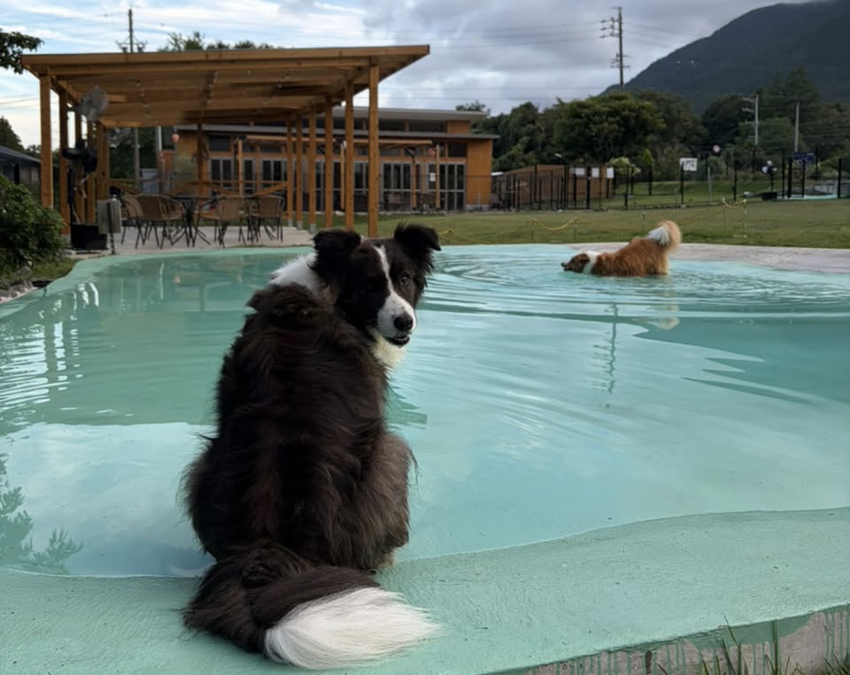 24CBEBC1 E038 423D AEC2 E576A937C313