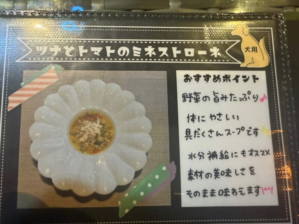 F0C5C1D8 93B6 4E10 B8D8 E1D96E8606BC 1024x768