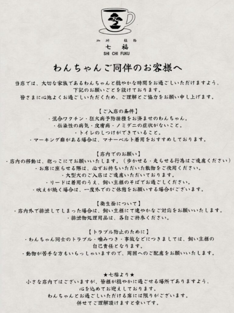 IMG 1800 768x1024
