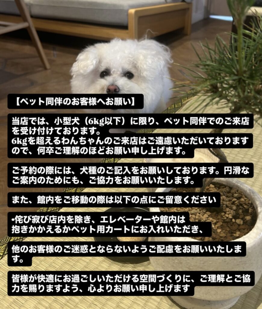 IMG 1825 870x1024