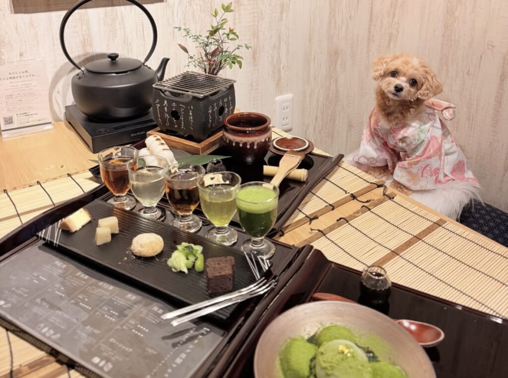 IMG 1841 1024x761