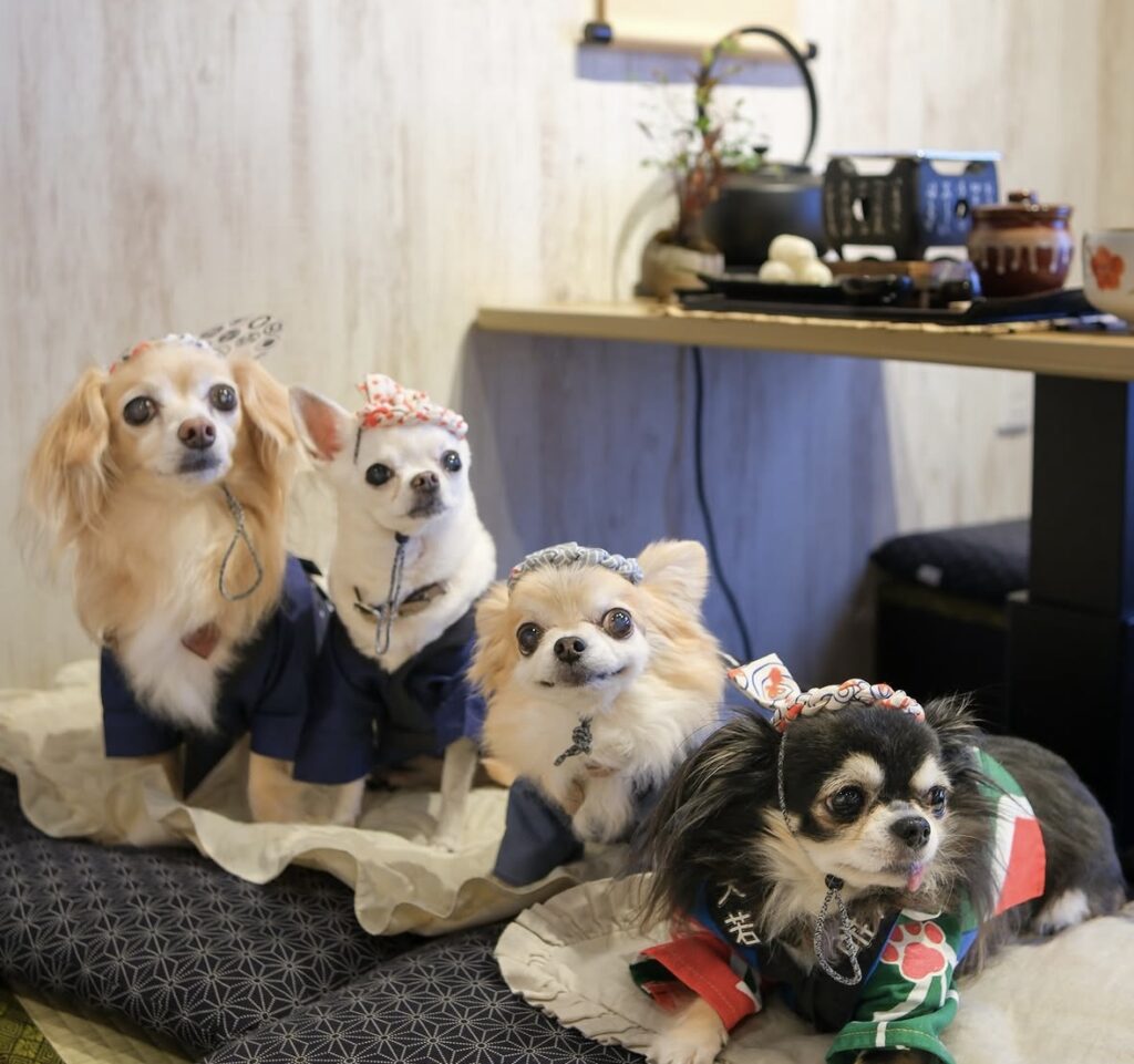 IMG 1842 1024x961