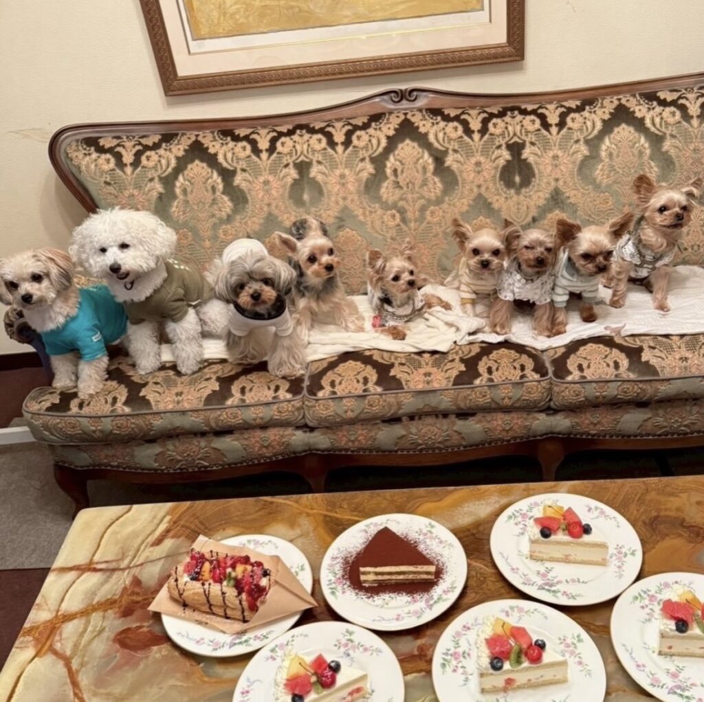 IMG 1877 1024x1022