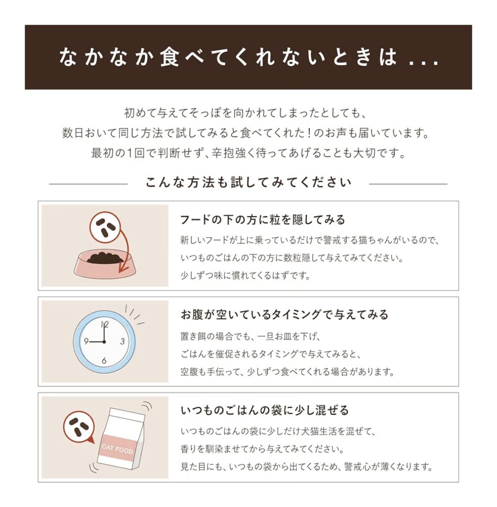 IMG 1953 1004x1024