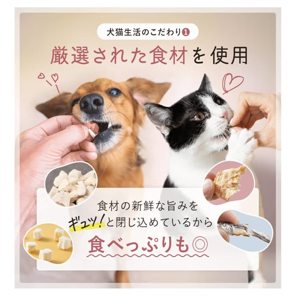 IMG 1973 1021x1024