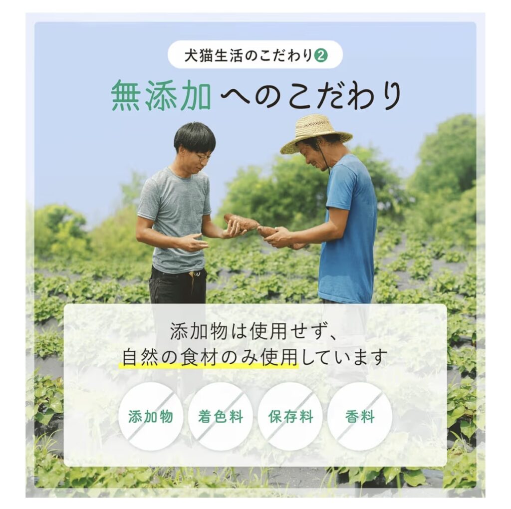 IMG 1974 1024x1020