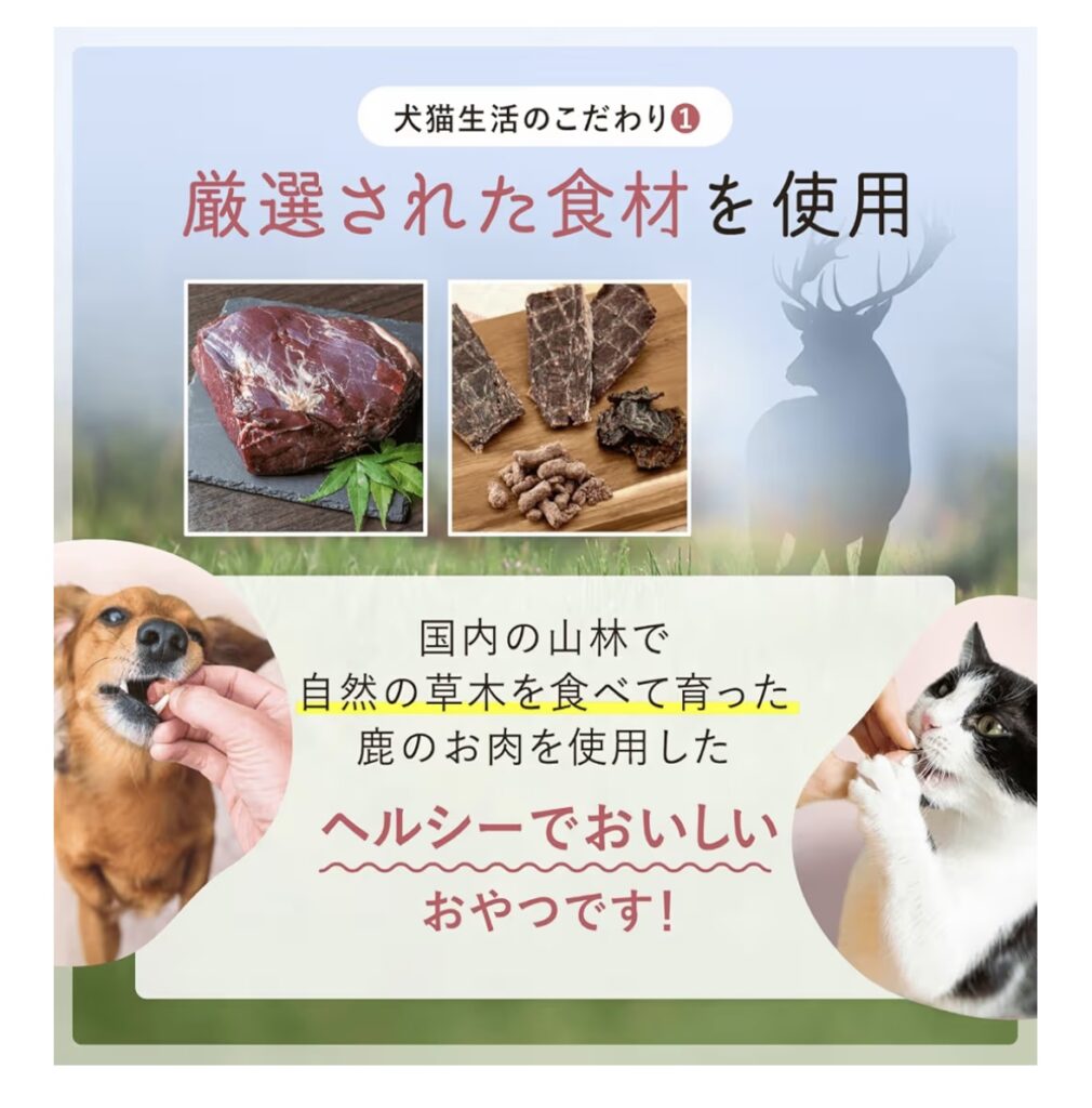 IMG 1980 1010x1024