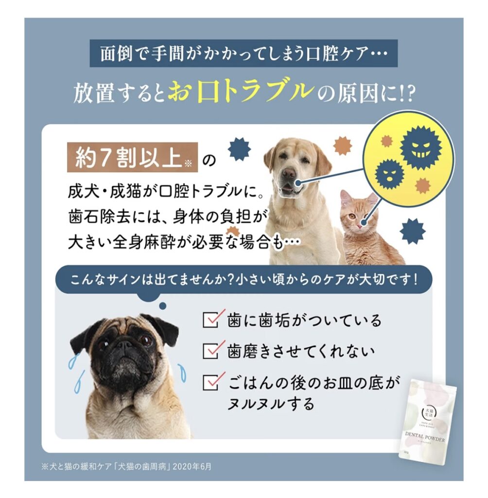 IMG 2003 1004x1024