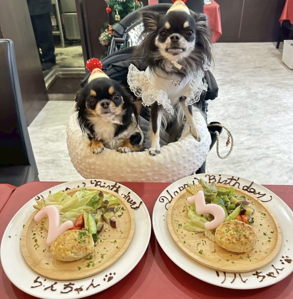 IMG 2053 1004x1024