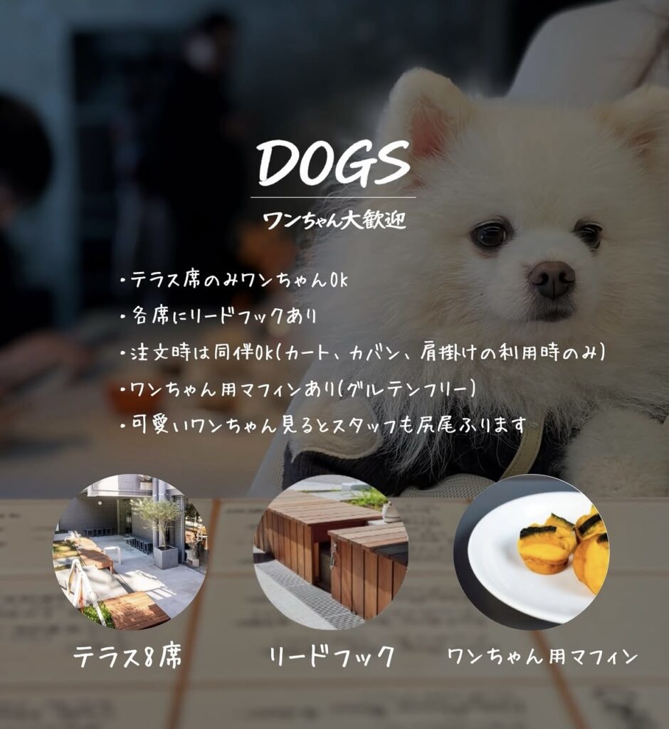 IMG 2479 940x1024