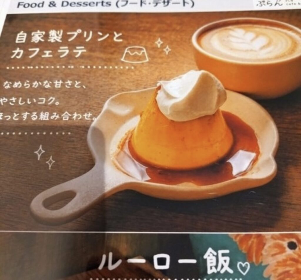 IMG 2528 1024x955