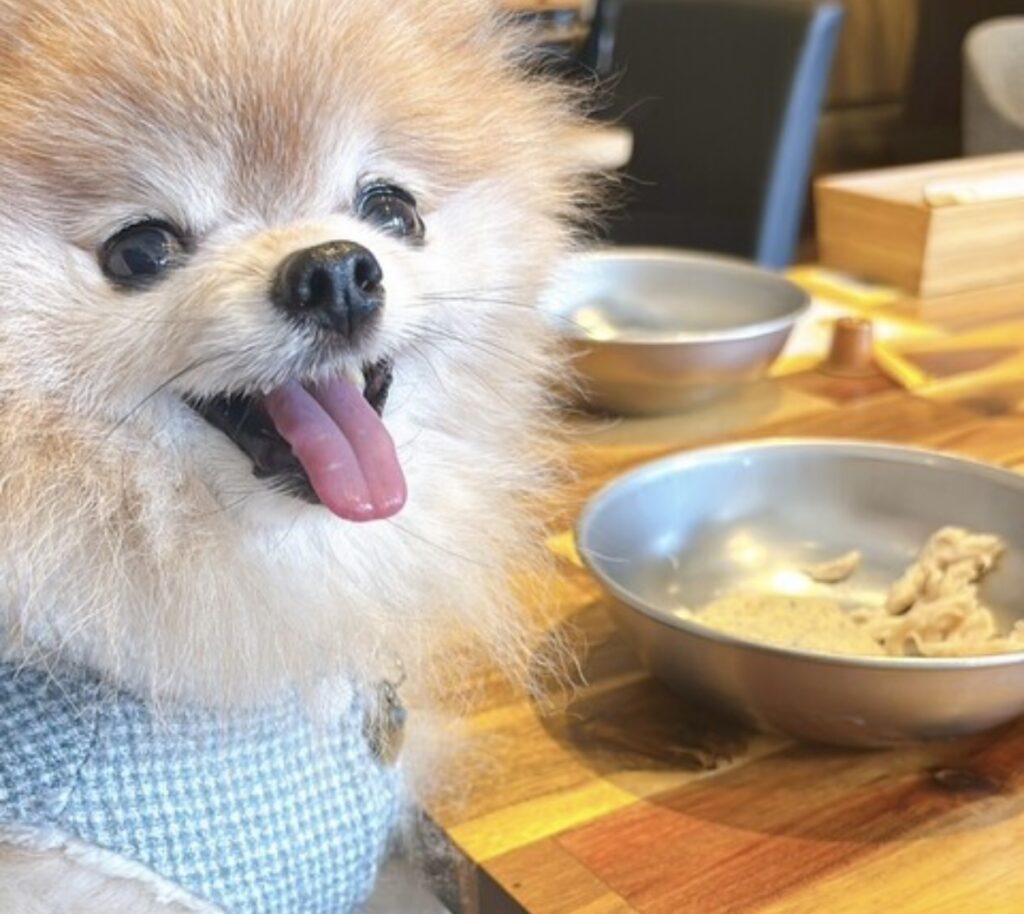 IMG 2845 1024x914